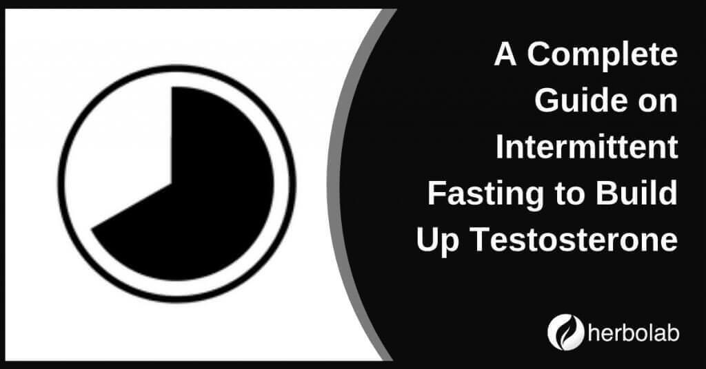 A Complete Guide on Intermittent Fasting to Build Up Testosterone