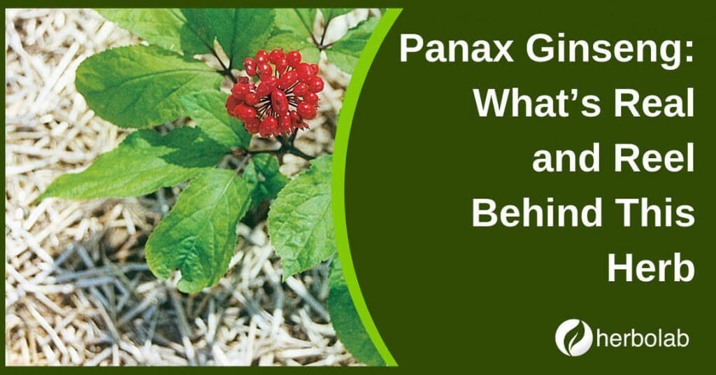 Panax Ginseng: What’s Real and Reel Behind This Herb