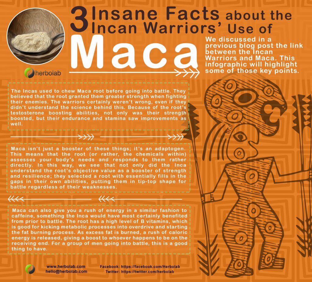 Maca Uses by Incan Warriors