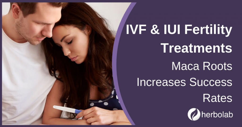 ivf and iui fertility treatments maca roots success