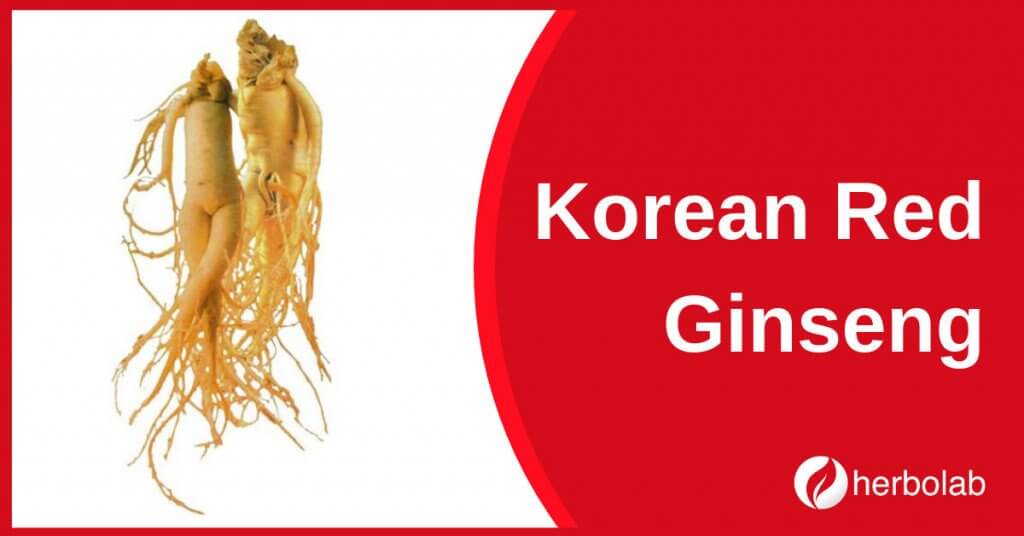 korean-ginseng-supplement