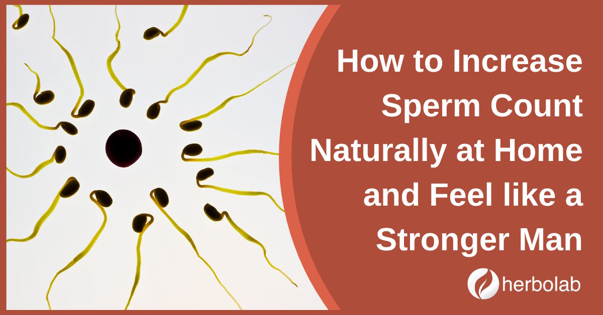 How to Increase Sperm Count Naturally at Home and Feel like a Stronger Man